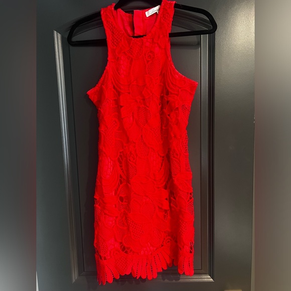 Dresses & Skirts - Lovers and Friends crochet knit floral red dress